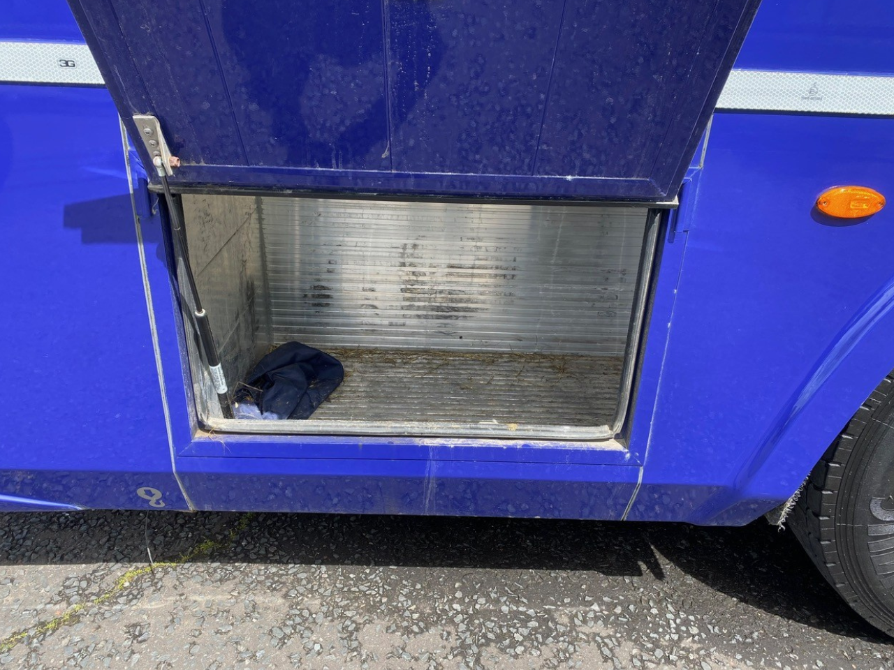 Volvo FM330 4x2 Horsebox (2017)